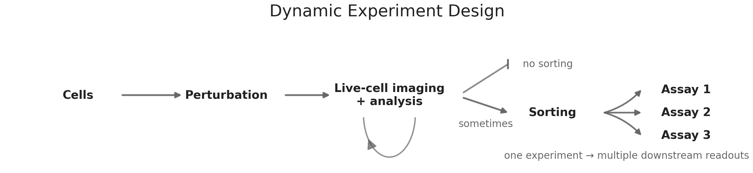 Dynamic Experiment Design