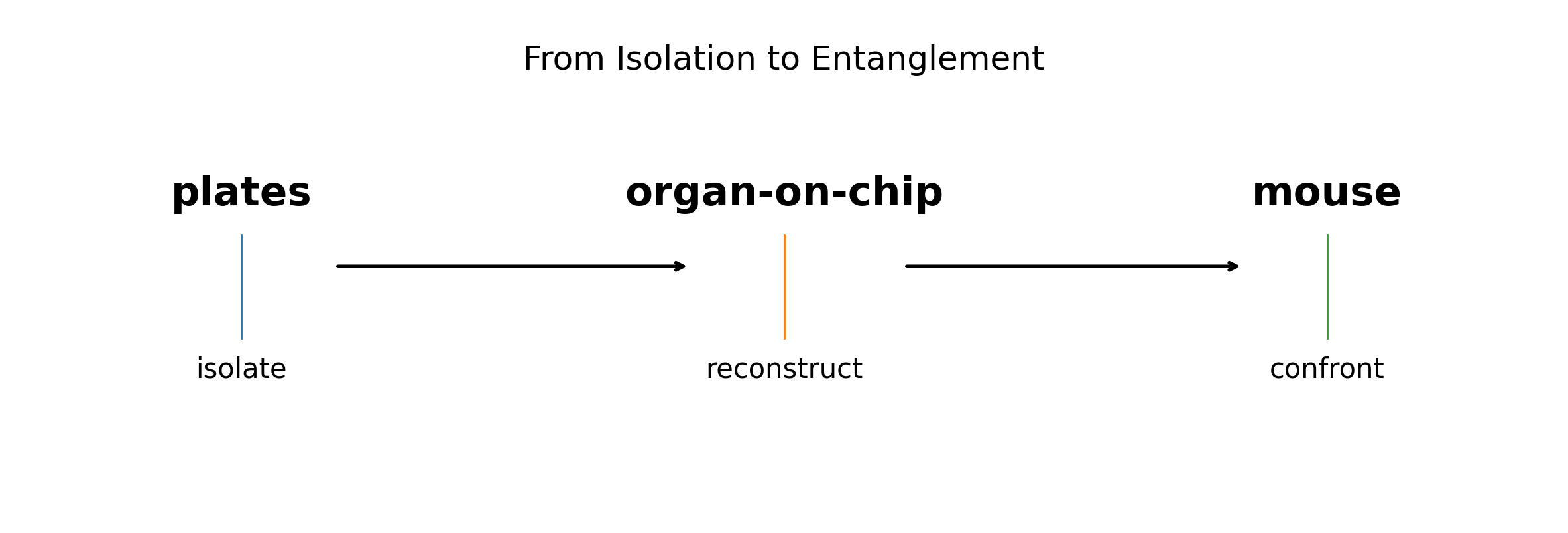 From Isolation to Entanglement