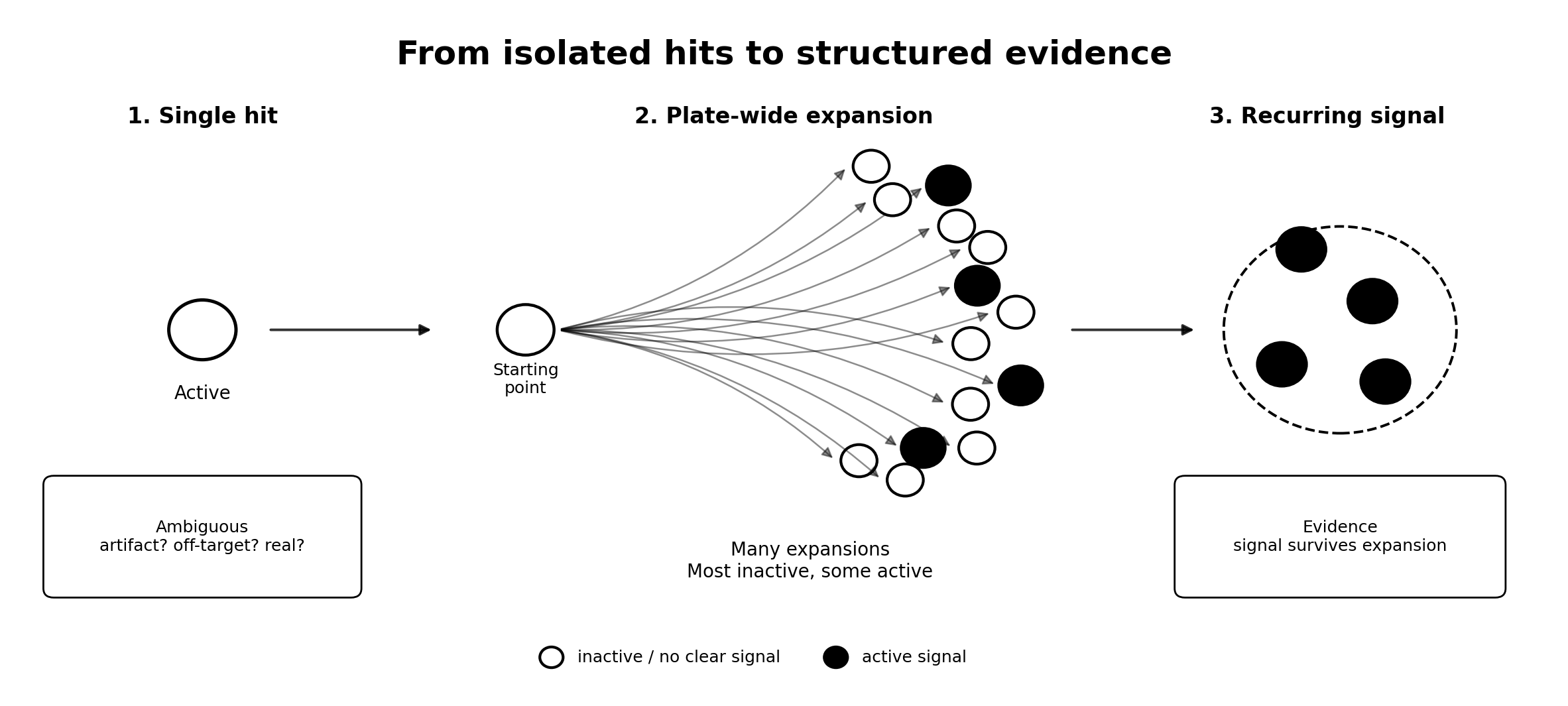 From Isolated Hits to Structured Evidence